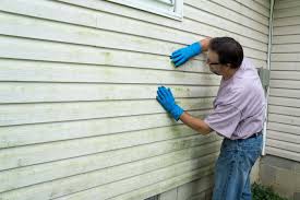 Best Siding Painting and Refinishing  in Old Town, ME